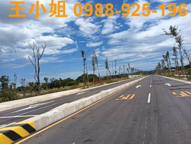 蘆竹建地-1