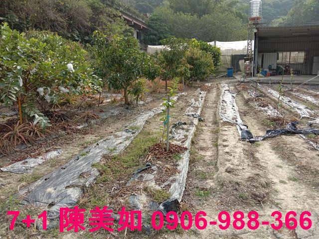 高雄農地-1