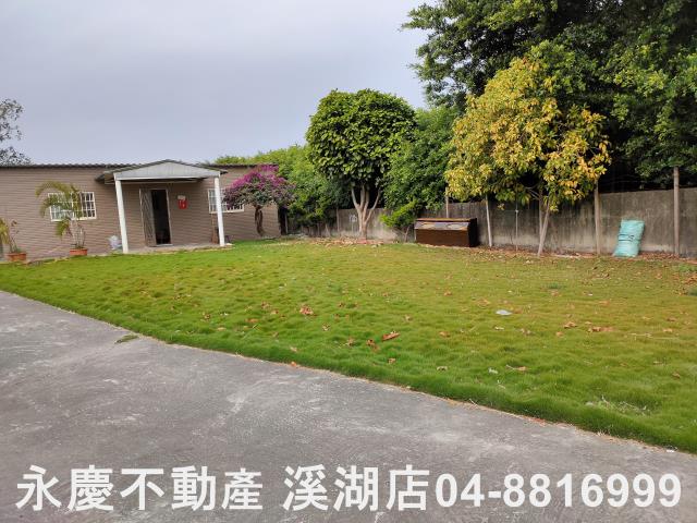 埤頭農地-9