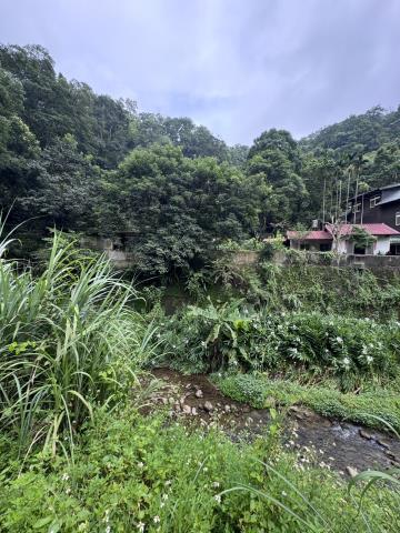 北埔農地-10