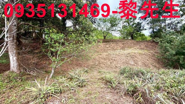 新竹農地-13