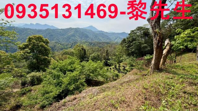 新竹農地-1