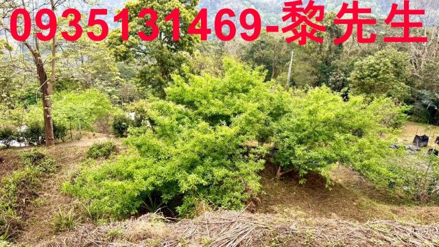 新竹農地-6