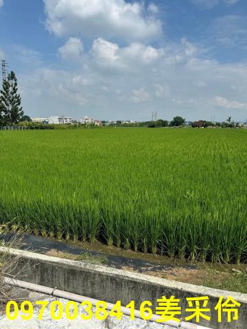 嘉義民雄農地-10