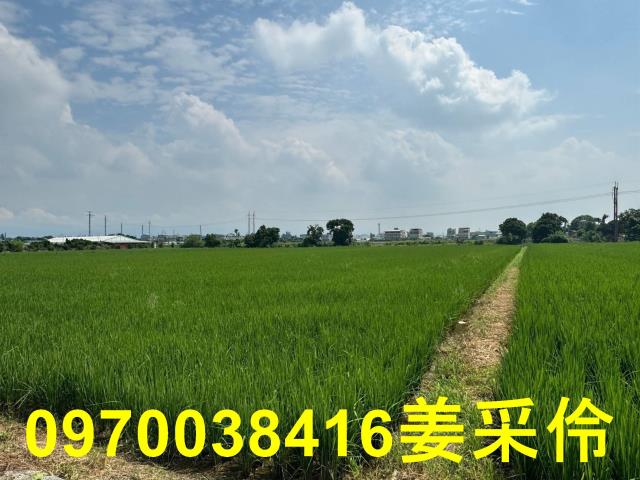 嘉義民雄農地-11