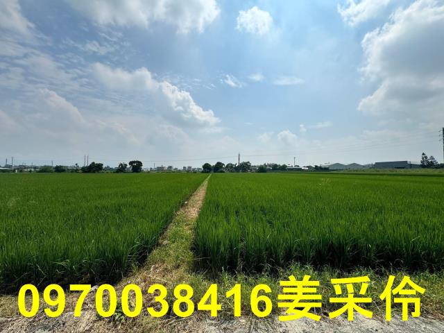 嘉義民雄農地-3