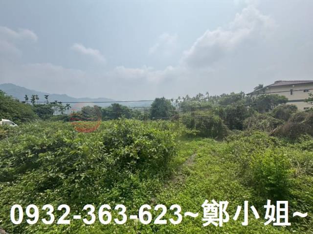 南投竹山農地-12