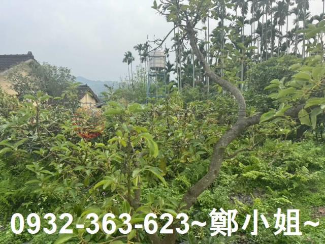 南投竹山農地-13