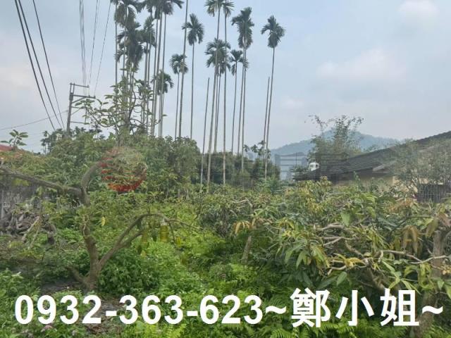 南投竹山農地-14