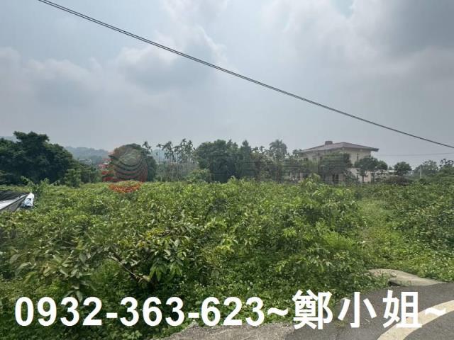 南投竹山農地-15