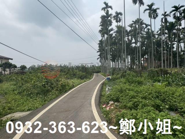 南投竹山農地-1