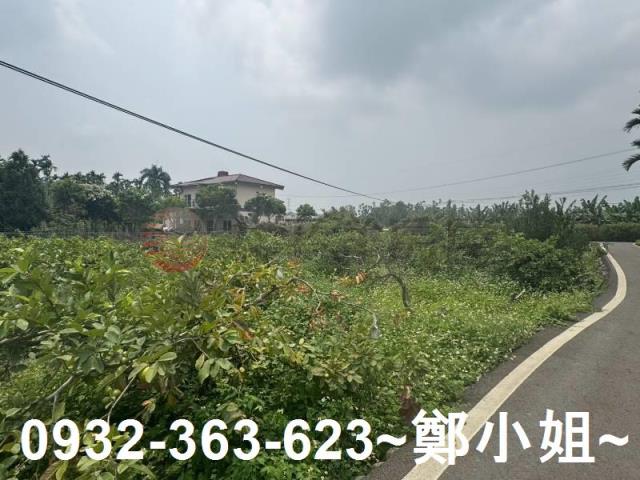 南投竹山農地-4