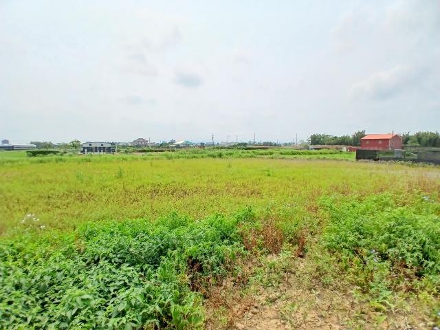 桃園觀音農地-3