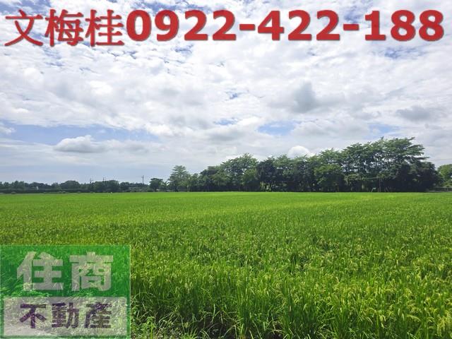 宜蘭員山農地-9