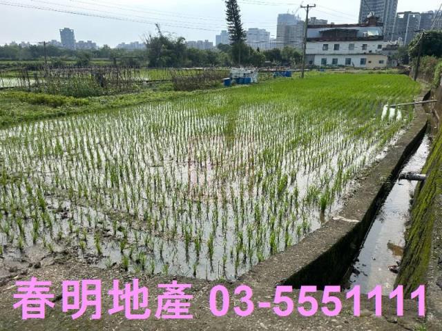 竹北農地-8