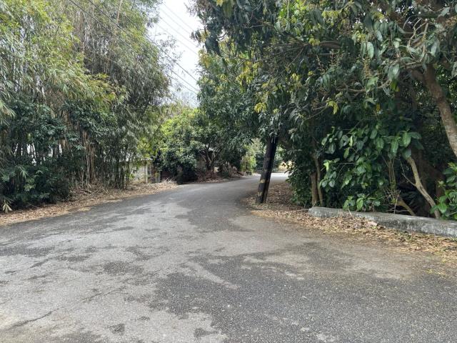 神岡農地-4