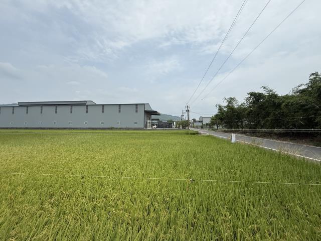 高雄阿蓮農地-10