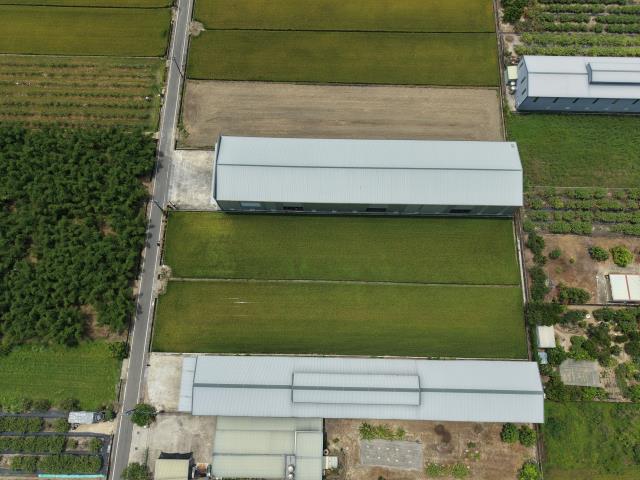 高雄阿蓮農地-2