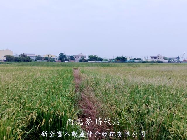 台南仁德農地-5