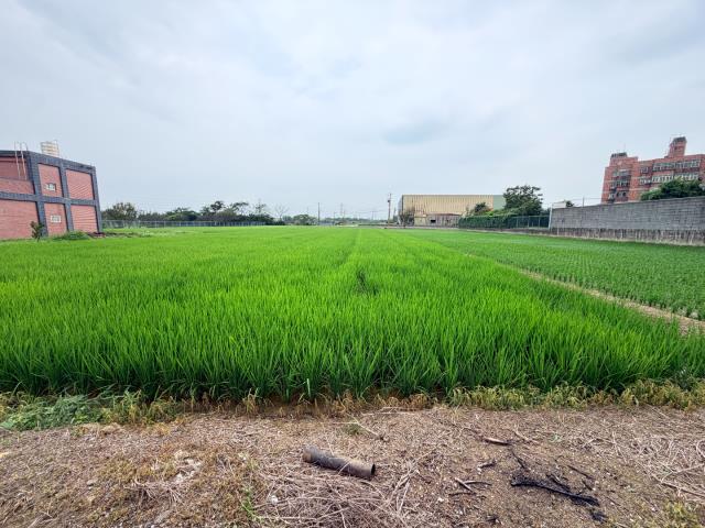觀音農地-1