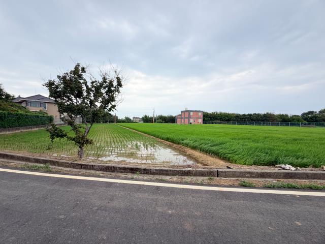 觀音農地-4