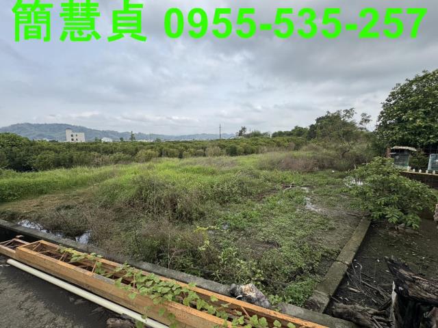 草屯農地-4