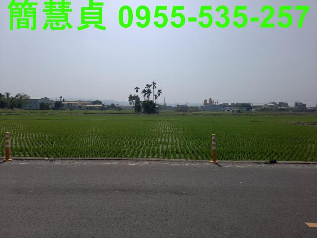 大里農地-2