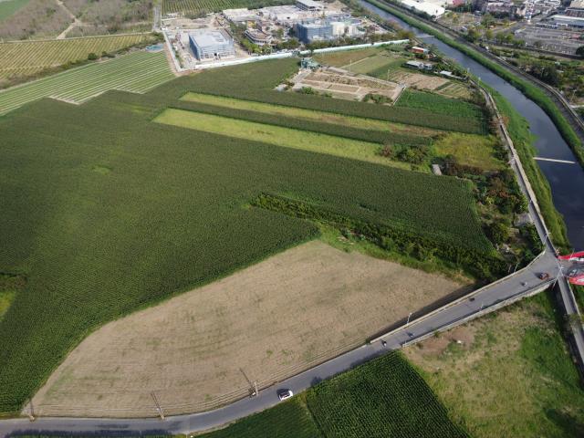 橋頭農地-3