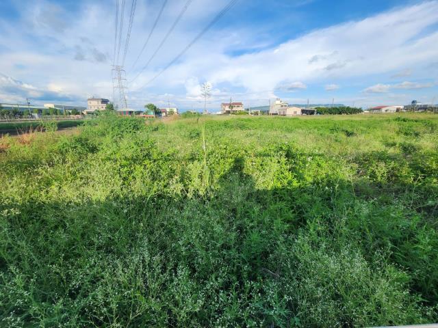 高雄阿蓮農地-7