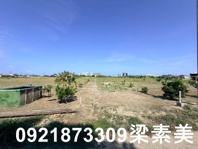 台南仁德農地-1