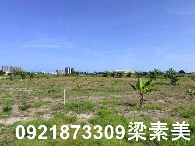 台南仁德農地-6