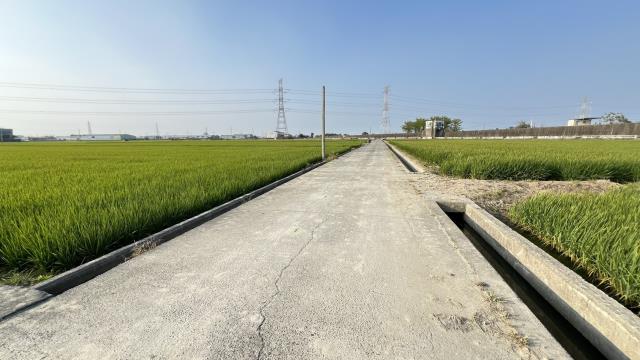 高雄路竹農地-8