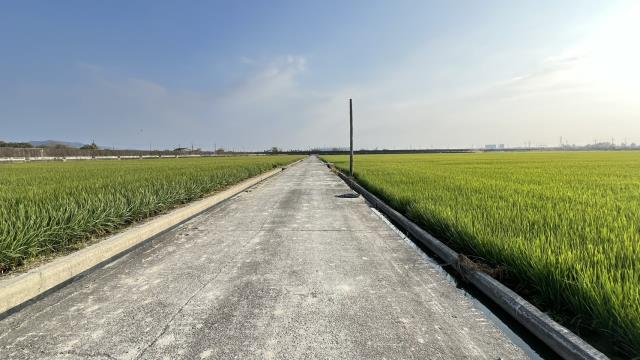 高雄路竹農地-6