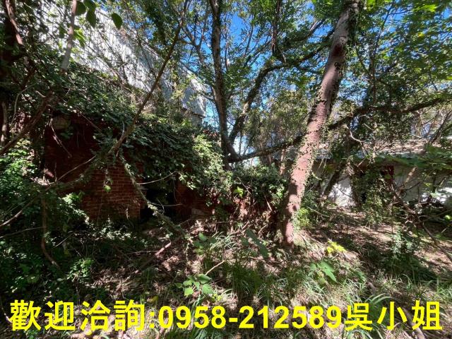 新竹竹北建地-6