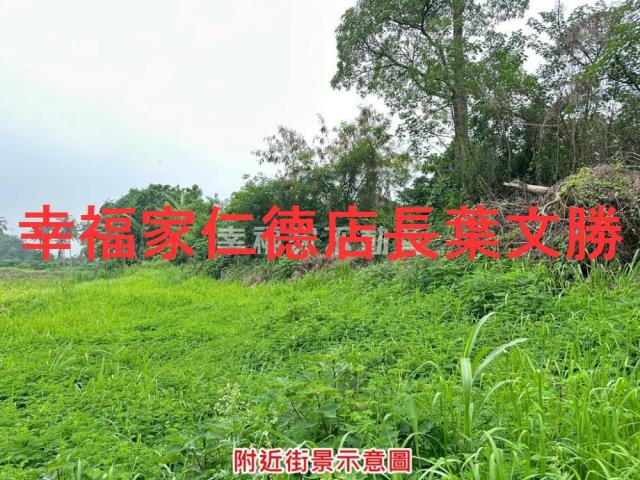 善化農地-1
