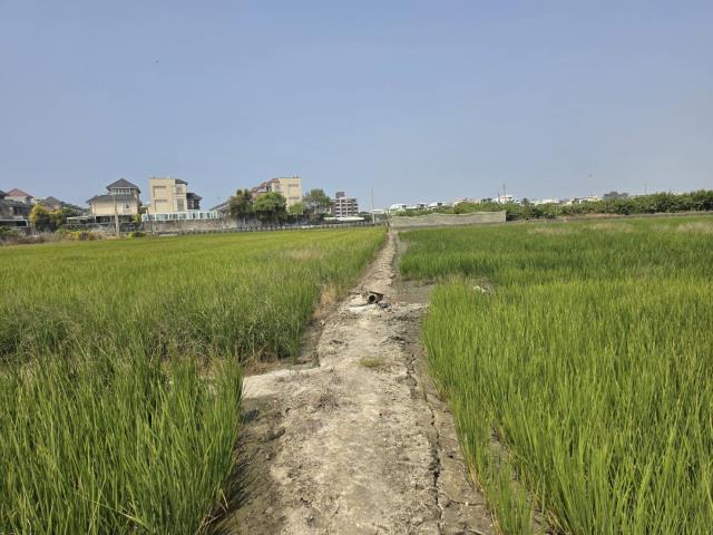 岡山農地-9