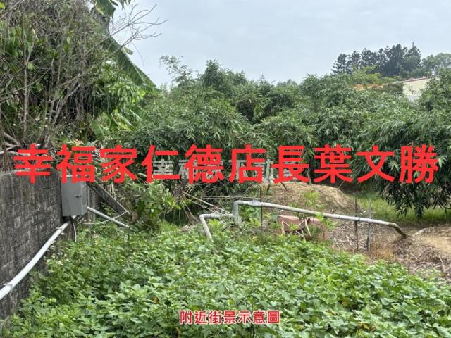 台南農地-3