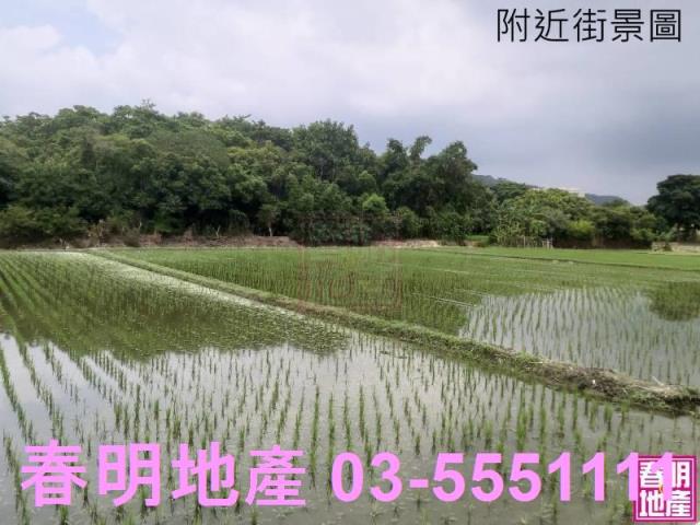 新竹農地-5