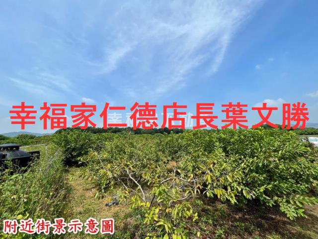 台南玉井農地-10