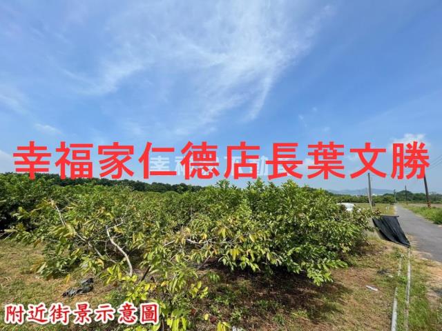台南玉井農地-5