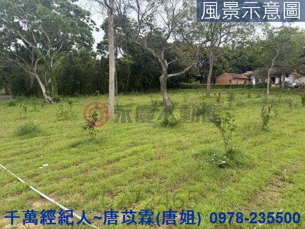 新竹關西農地-4