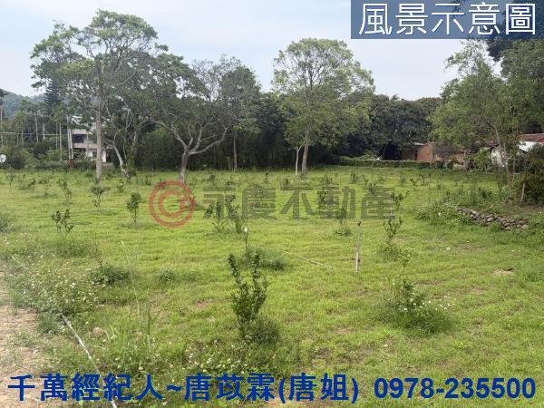 新竹關西農地-1