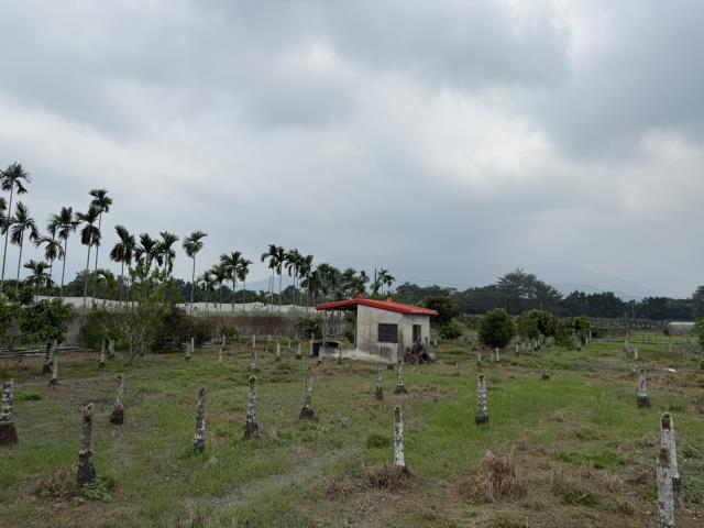 屏東鹽埔農地-3