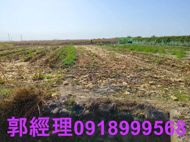 台南佳里農地-5