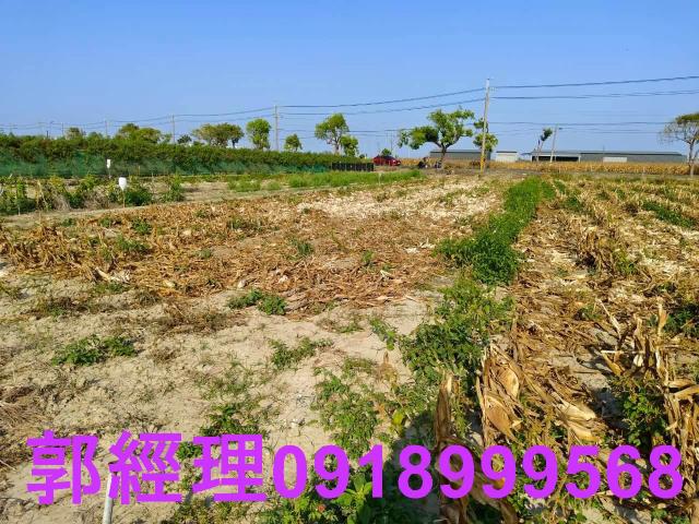 台南佳里農地-8