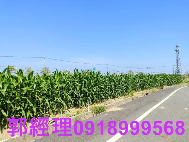 台南鹽水農地-1