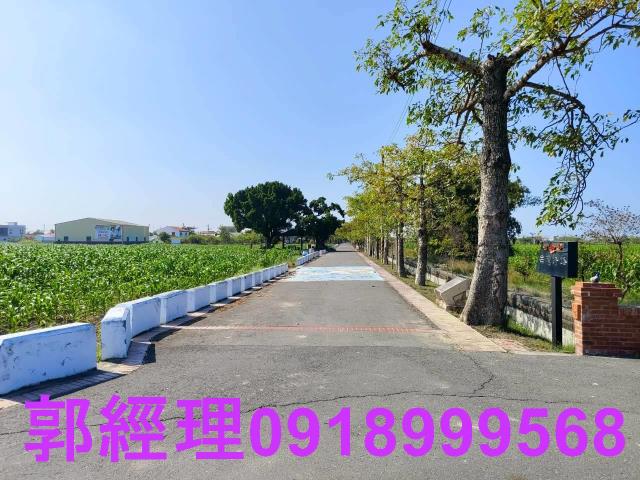 台南鹽水農地-9