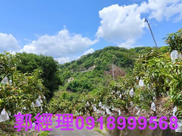 台南玉井農地-6