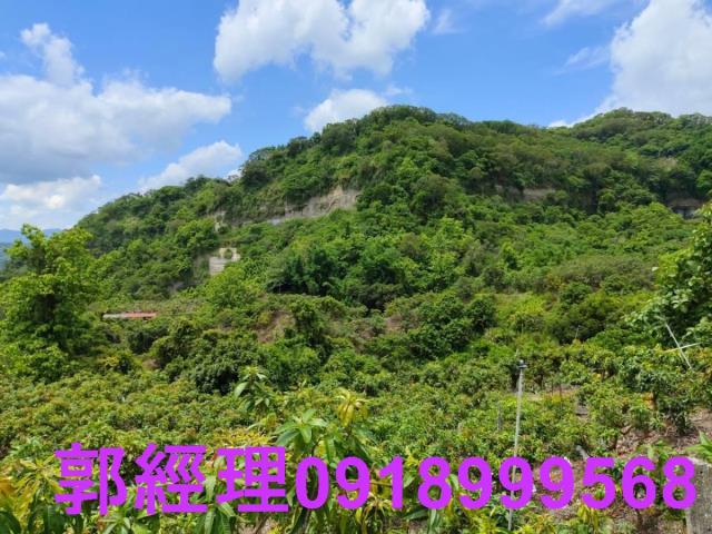 台南玉井農地-7