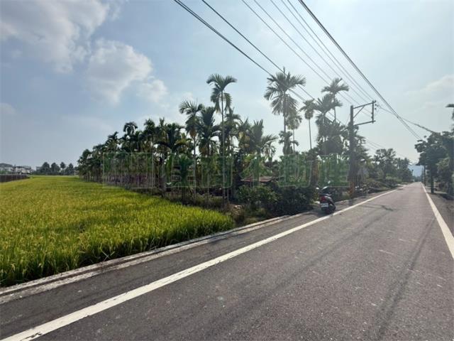 美濃農地-1